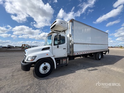 2019 Hino 338 4x2 Ciężarówka chłodnia