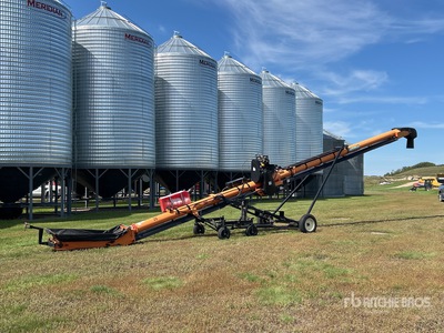 Batco 1545 15 in x 45 ft Nastro trasportatore per grano