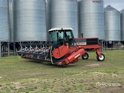 1999 Hesston 8110 30 ft Swather Windrower