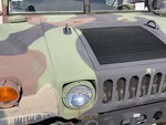 General Appearance with Paint