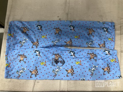 (20) Pairs of Assorted Pajama Pants