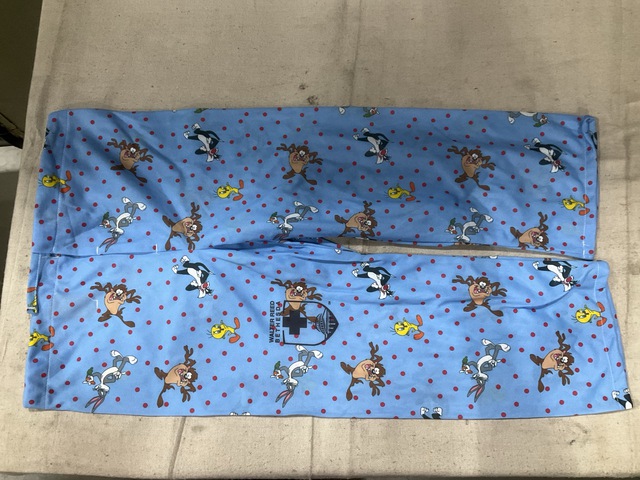 (20) Pairs of Assorted Pajama Pants