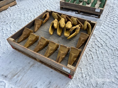 Quantity of Teeth (Unused)