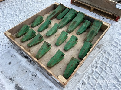 Quantity of Teeth (Unused)