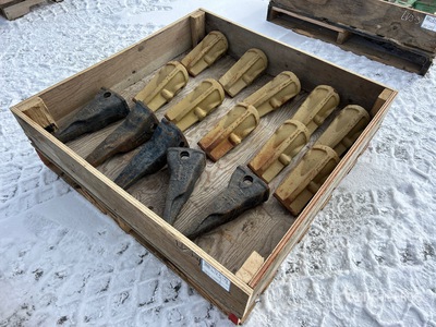 Quantity of Teeth (Unused)