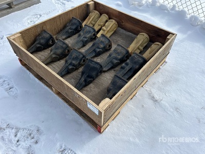 Quantity of Teeth (Unused)