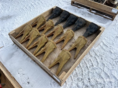 Quantity of Teeth (Unused)