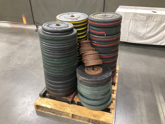 (80) Assorted Weight Plates