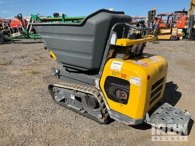 2024 Wacker Neuson DT12P Stand-On Swivel Mini Crawler Dumper