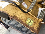 General Appearance with Paint