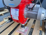 General Appearance #1