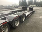 General Appearance with Paint