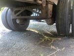 Trailer Chassis with Axle Condition