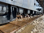 Undercarriage with Left Track Rollers