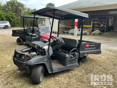 2021 (unverified) Toro Vehículo de Trabajo