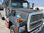 General Appearance with Paint