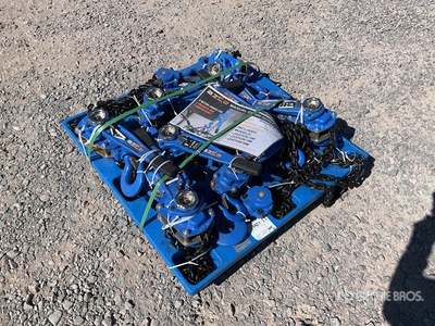 Quantity of (8) 2026 BZCQ HC236 Lote de Polipastos (Sin Usar) / Manual Chain Hoist Divers - Magasin, entrepôt, consommateur (Unused)