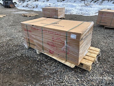 2026 SDLANCH IRGC40-GREEN 3 TT Mini Motocicletta a tre ruote (Unused)