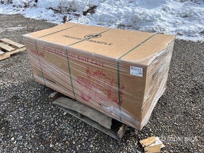 2026 SDLANCH IRGC40-PURPLE 3 TT Mini Motocicletta a tre ruote (Unused)