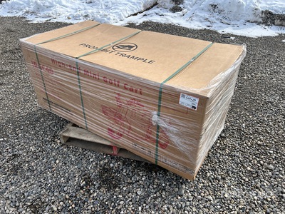 2026 SDLANCH IRGC40-RED 3 TT Mini Motocicletta a tre ruote (Unused)