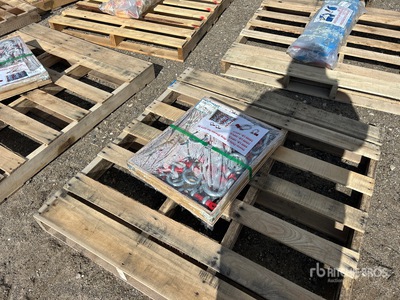 Quantity of (30) D-Ring Schäkel (Unused)