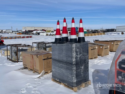 Quantity of (250) 2026 SDLANCH IRSTC 28 in Cônes d'autoroute (Unused)