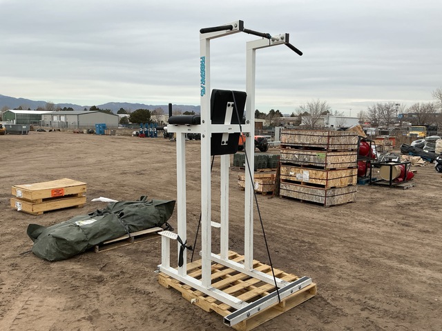 ProStar ATS Exercise Dip Station