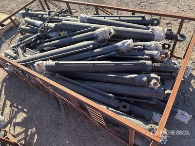 Quantity of Excavator Cylinder (Unused)