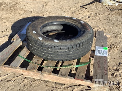 Nexan Roadian LT235/80R17 Tire