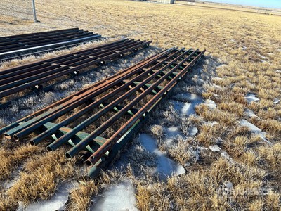 Texas Cancello per recinto bestiame