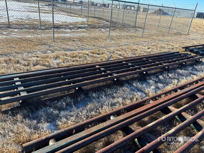 Texas Cancello per recinto bestiame