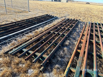 Texas Cancello per recinto bestiame