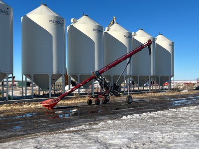 2021 Meridian HD-10-46 10 in x 46 ft مسمار الحبوب