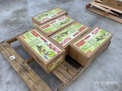 Quantity of (50) 2 in X 20 Ft Ratchet Strap Varios, tienda, almacen, consumidor (Unused)