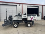 General Appearance with Paint
