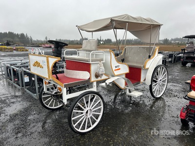 2026 SDLOOL SL-MCE Electric Drivable Carriage Varios, vehiculos recreativos (Unused)