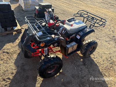 2026 TaoTao 4x2 ATV (Unused)