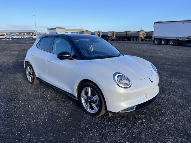 2023 GWM Ora Electric Automobile