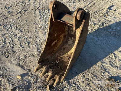 Cat 14 in Digging Excavator Bucket