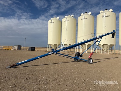 Brandt 845 8 in x 45 ft Vis sans fin à grain