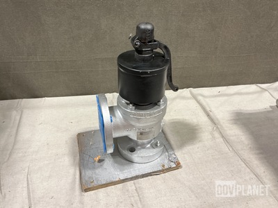 Dresser 1811HB-0-3X1-22-WSC Safety Relief Valve