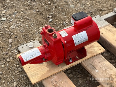Red Lion Water Pump