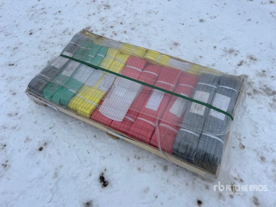 Quantity of (22) 2026 Suihe WS22 Webbing Sling (Unused)