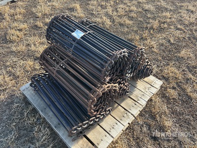 29 in Sugar Beet Chains