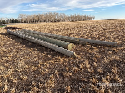 Quantity of (8) Power Poles Divers - Matériaux de construction