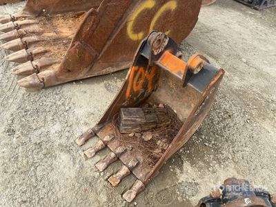 Cat 24 in Digging Excavator Bucket