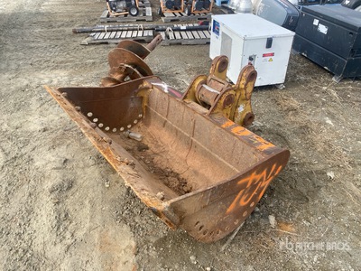 Cat 58 in Cleanup Excavator Bucket