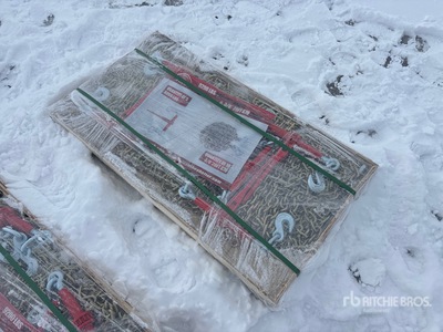 Quantity of (5) 2026 Suihe BC-9200 9200 lb Ratchet Binders & (10) 20 ft Chains (Unused)