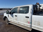 General Appearance with Paint