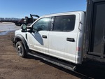 General Appearance with Paint